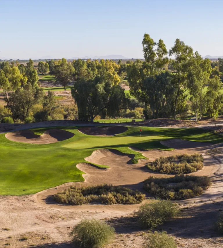 Ak-Chin Southern Dunes green ringed by sand belt bunkers and eucalyptus trees