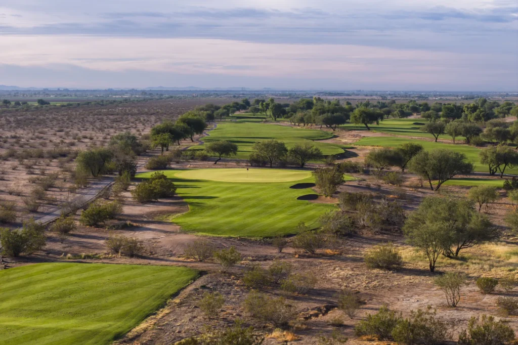 Green framed by mature trees and desert at Talking Stick Golf Club in Scottsdale